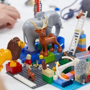 Career Planning Workshop: LEGO® Serious Play®22