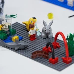 Career Planning Workshop: LEGO® Serious Play®21
