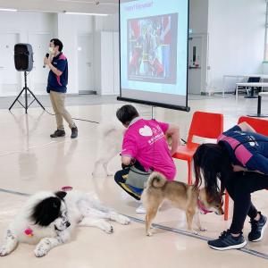 Pre-placement Workshop: Animal Assisted Intervention and Its Application 4