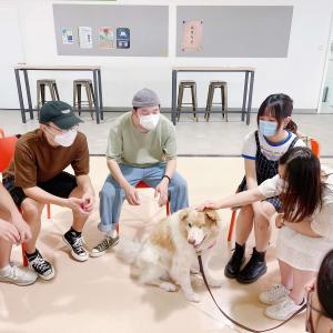 Pre-placement Workshop: Animal Assisted Intervention and Its Application 9