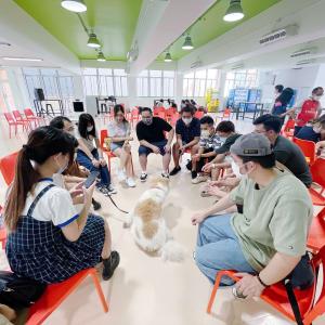 Pre-placement Workshop: Animal Assisted Intervention and Its Application 12