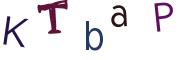 圖片的 CAPTCHA